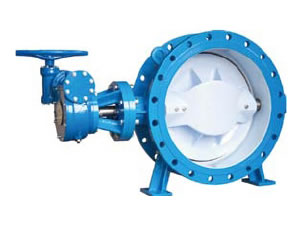 Butterfly Valve