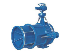 Model C20 Cone Valve